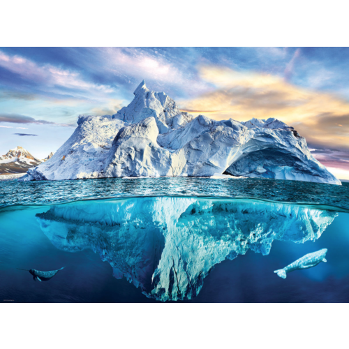  Eurographics Puzzles The Arctic - 1000 pieces 