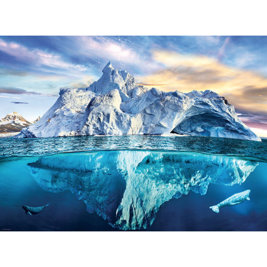 The Arctic - 1000 pieces - jigsaw puzzle-1