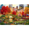 Bluebird Puzzle Central Park in New York - puzzle of 1000 pieces