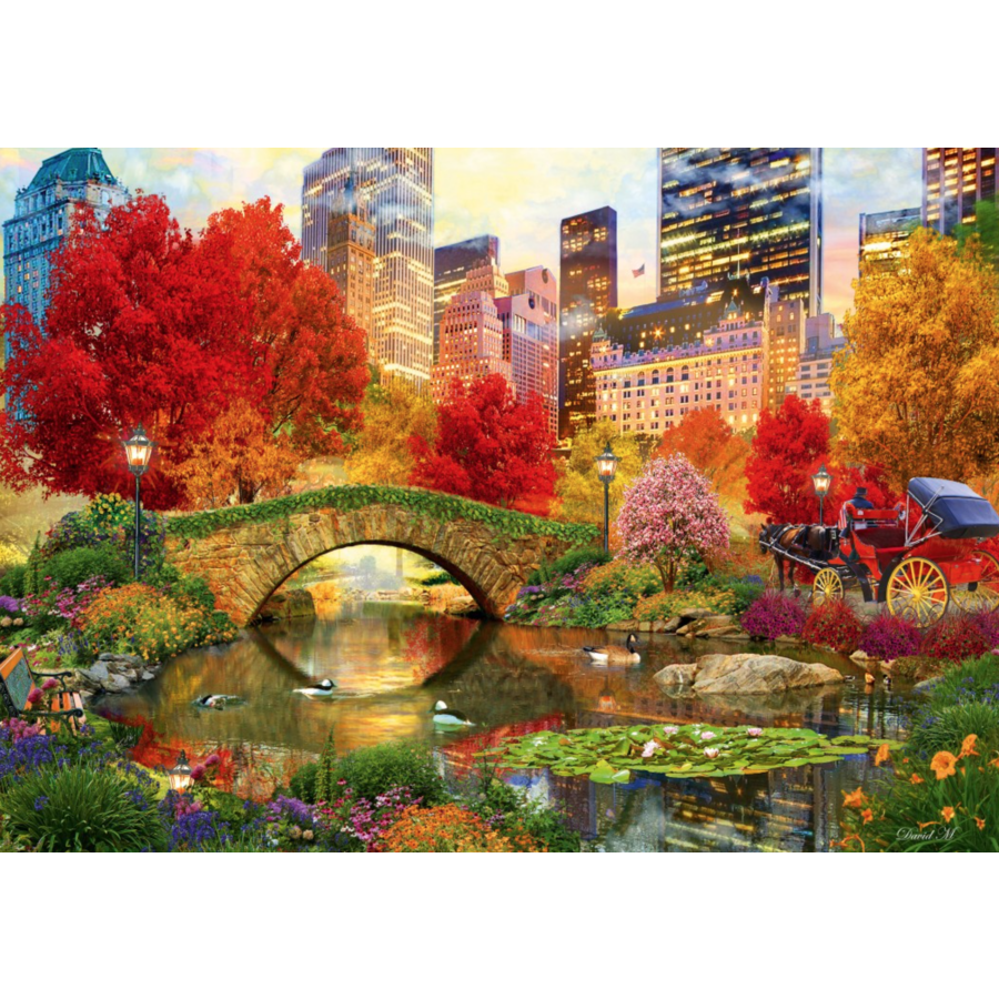 Central Park à New York- puzzle de 1000 pièces-1