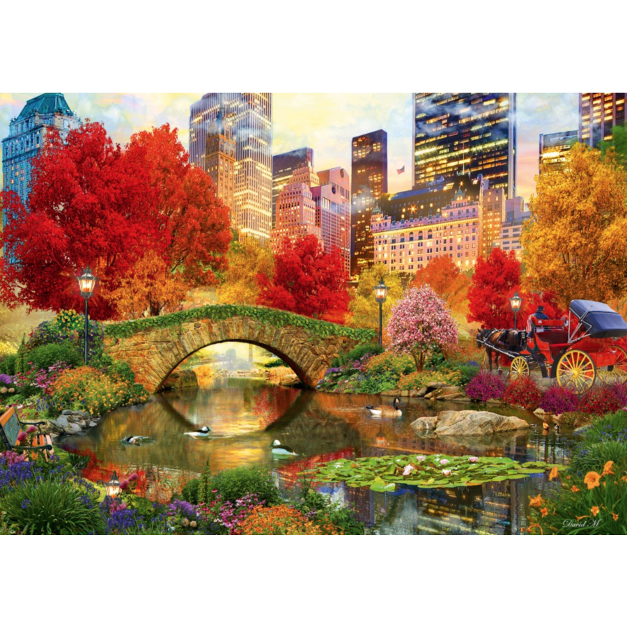 Central Park in New York - puzzle of 1000 pieces-1