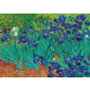 Bluebird Puzzle Vincent Van Gogh - Irissen - 1000 stukjes