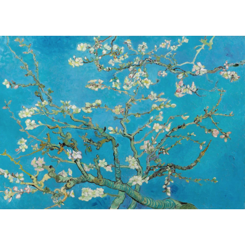  Bluebird Puzzle Vincent Van Gogh - Almond Blossom - 1000 pieces 