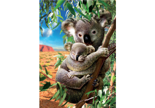  Educa The Koala and his little one - 500 pieces 