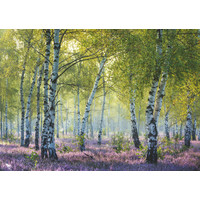 The Birch Forest - puzzle of 1000 pieces