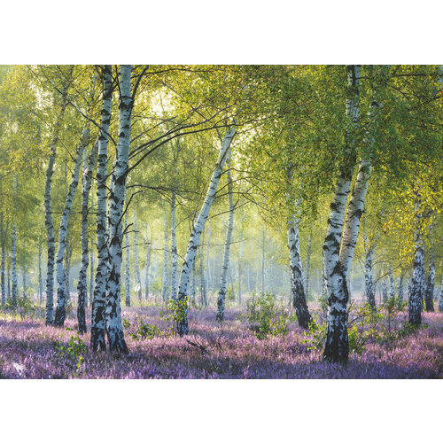  Ravensburger The Birch Forest  - 1000 pieces 