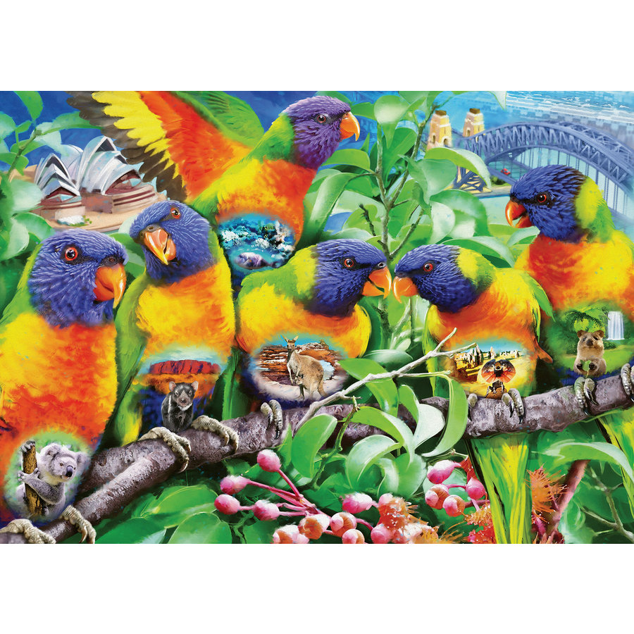 Land van de Lorikeets - puzzel van  1000 stukjes-1