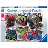 Ravensburger Flower Flash in New York - puzzle of 1000 pieces