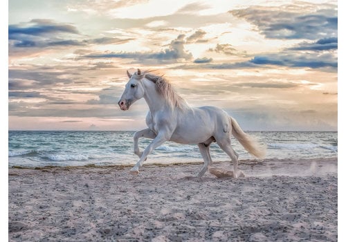  Ravensburger Cheval sur la plage  - 500 pièces 