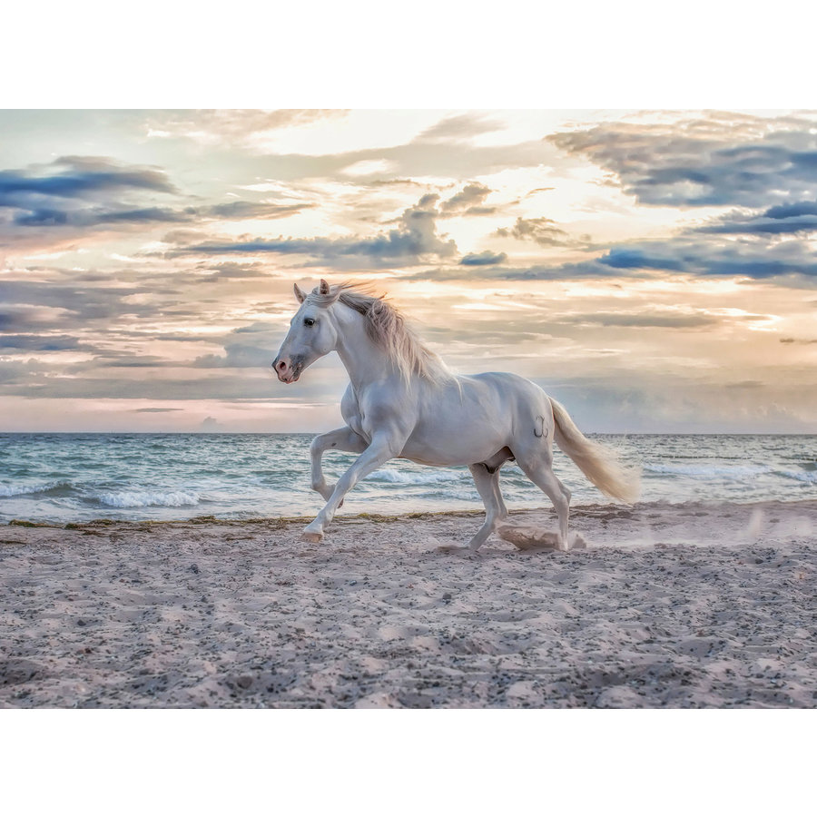 Horse on the beach - jigsaw puzzle of 500 pieces-2