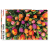 Piatnik Tulips  - 1000 pieces