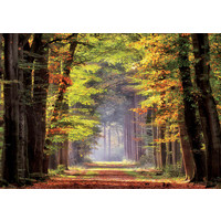 thumb-Autumn walk - 1000 pieces-2