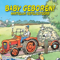 VIP Jan van Haasteren Greeting Card - Baby geboren
