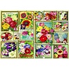 Bluebird Puzzle Images des fleurs - puzzle de 1500 pièces