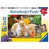 Ravensburger Le temps des caresses - 2 puzzles de 12 pièces