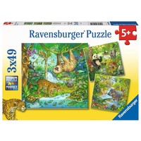 thumb-Dans la jungle - 3 puzzles de 49 pièces-1