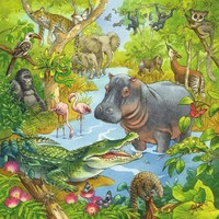 thumb-In het oerwoud - 3 puzzels van 49 stukjes-4