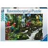 Ravensburger Colourful Parrots in the Jungle - puzzle of 2000 pieces