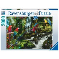 thumb-Perroquets dans la Jungle - puzzle de 2000 pièces-1