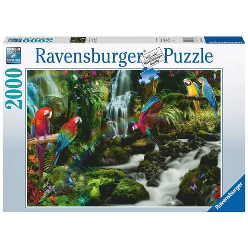  Ravensburger Perroquets dans la Jungle - 2000 pièces 