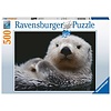 Ravensburger Cute little otter - jigsaw puzzle of 500 pieces