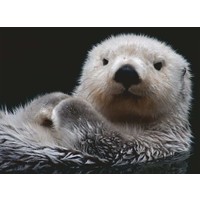 thumb-Cute little otter - jigsaw puzzle of 500 pieces-2