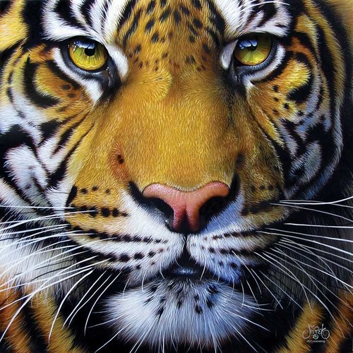  SUNSOUT Jurek - Golden Tiger Face - 1000 pieces 