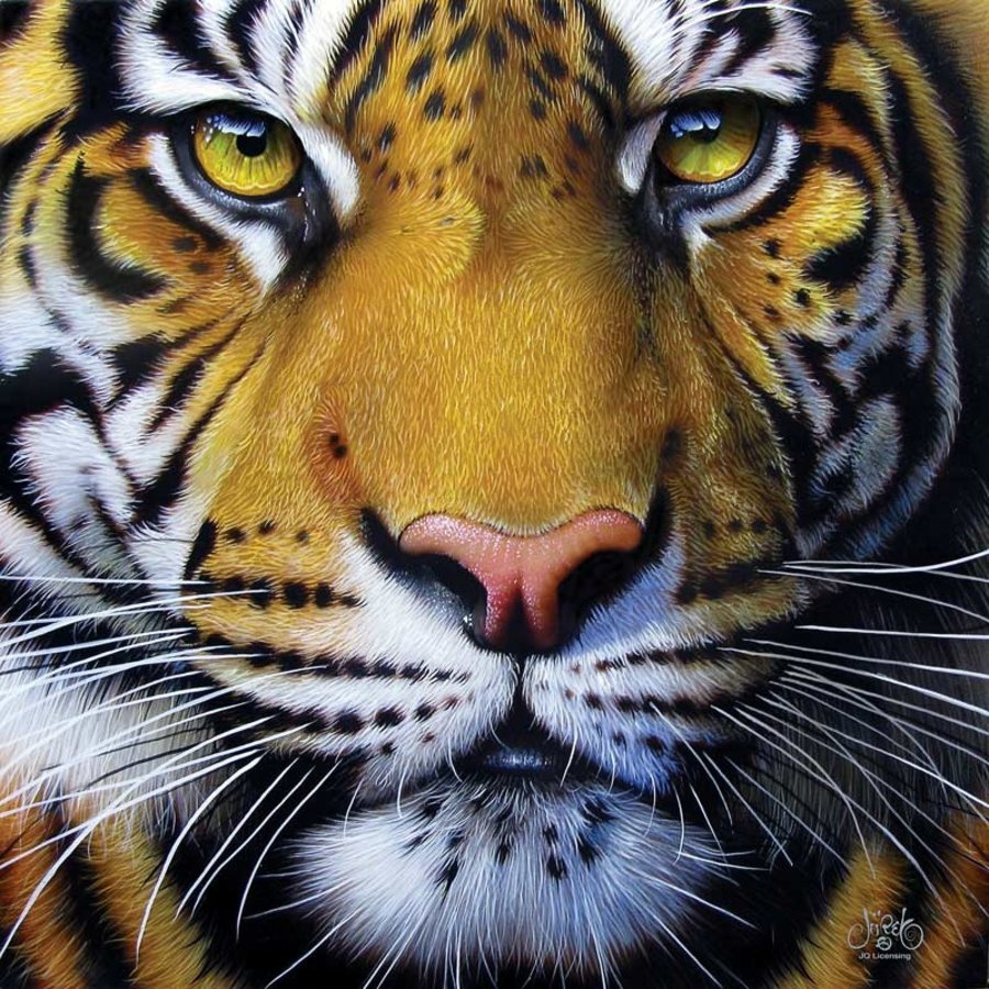 Jurek - Golden Tiger Face -  jigsaw puzzle of 1000 pieces-1