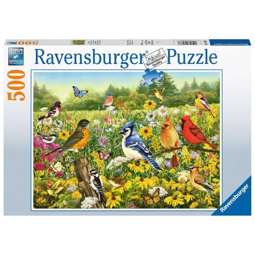  Ravensburger Birds in the Meadow - 500 pieces 