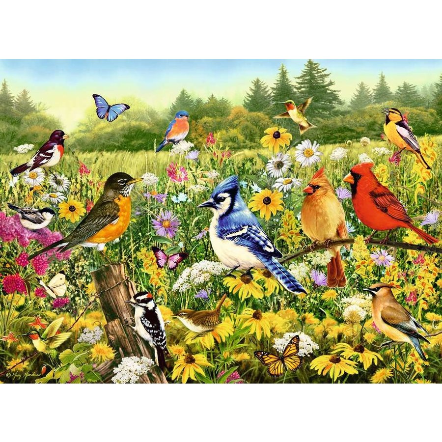 Birds in the Meadow - jigsaw puzzle of 500 pieces-2
