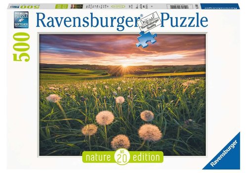  Ravensburger Dandelions at sunset - 500 pieces 