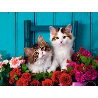 thumb-Katjes en Rozen - puzzel van 500 stukjes-2