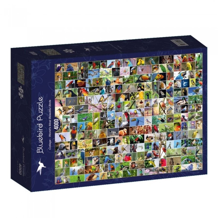 Collage - World's most Beautiful Birds - puzzle of 4000 pieces-2
