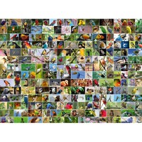 thumb-Collage - World's most Beautiful Birds - puzzle of 4000 pieces-1