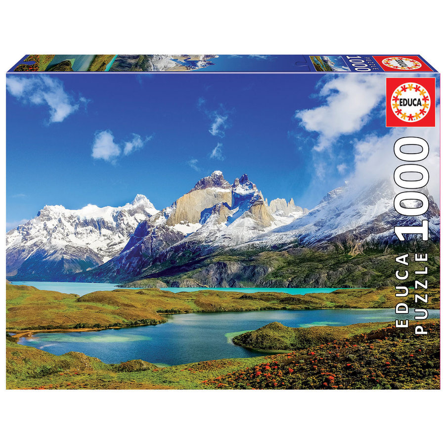 Patagonie - Tours du Paine - puzzle de 1000 pièces-1