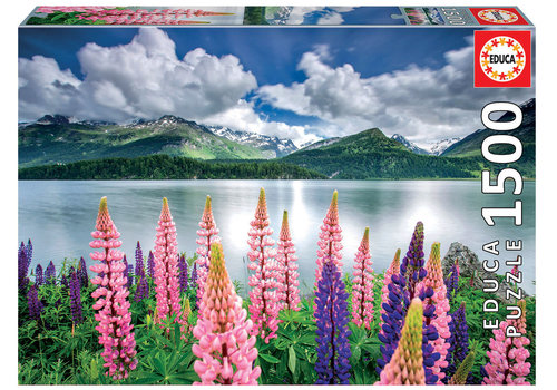  Educa Lupins on the shore - 1500 pieces 