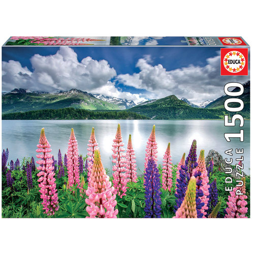  Educa Lupins on the shore - 1500 pieces 