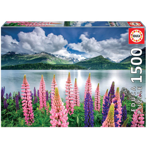  Educa Lupins sur la rive - 1500 pièces 