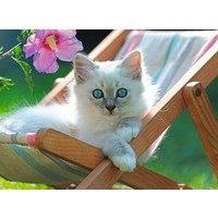 thumb-Chaton Blanc - Puzzle de 200 pièces-2