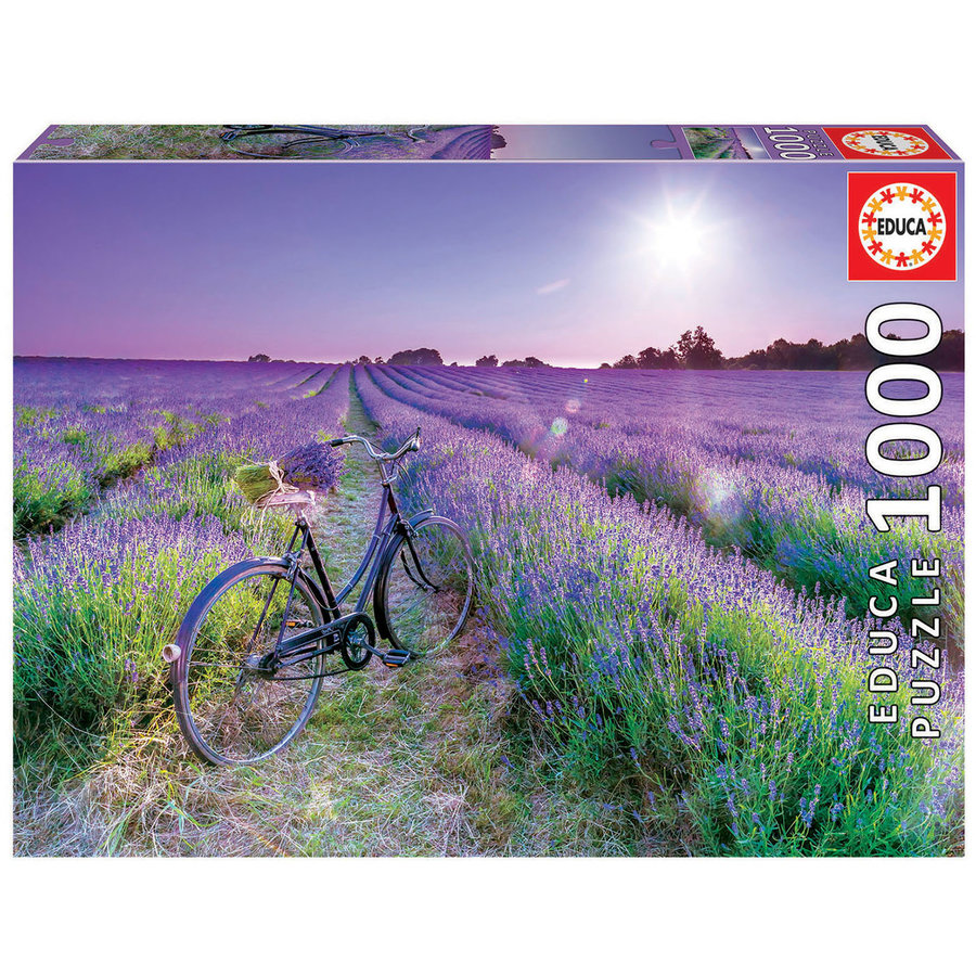 Bike in a Lavender Field - puzzle of 1000 pieces-2