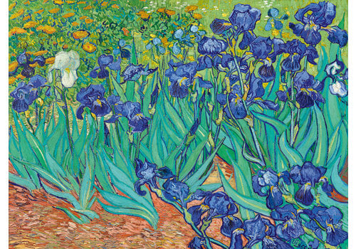  Bluebird Puzzle Vincent Van Gogh - Irises - 3000 pieces 