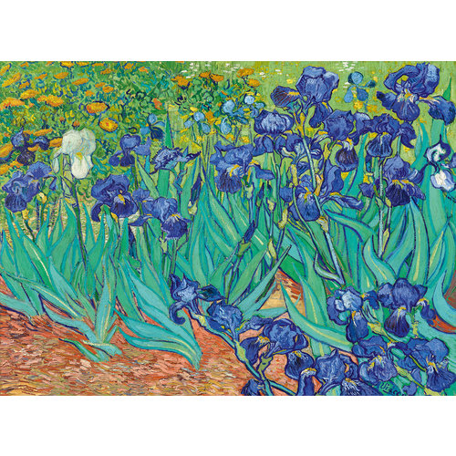  Bluebird Puzzle Vincent Van Gogh - Irises - 3000 pieces 