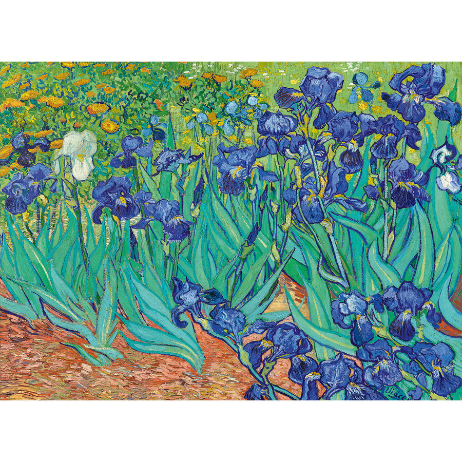 Vincent Van Gogh - Irises - puzzle of 3000 pieces-1