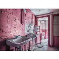 thumb-Pink Dreams  - Lost Places - 1000 pièces-1