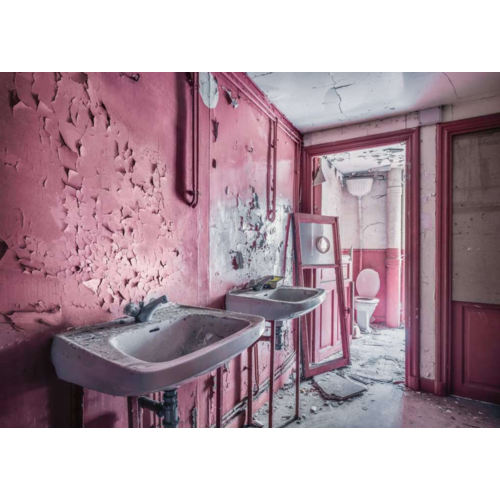  Ravensburger Pink Dreams  - Lost Places - 1000 pièces 