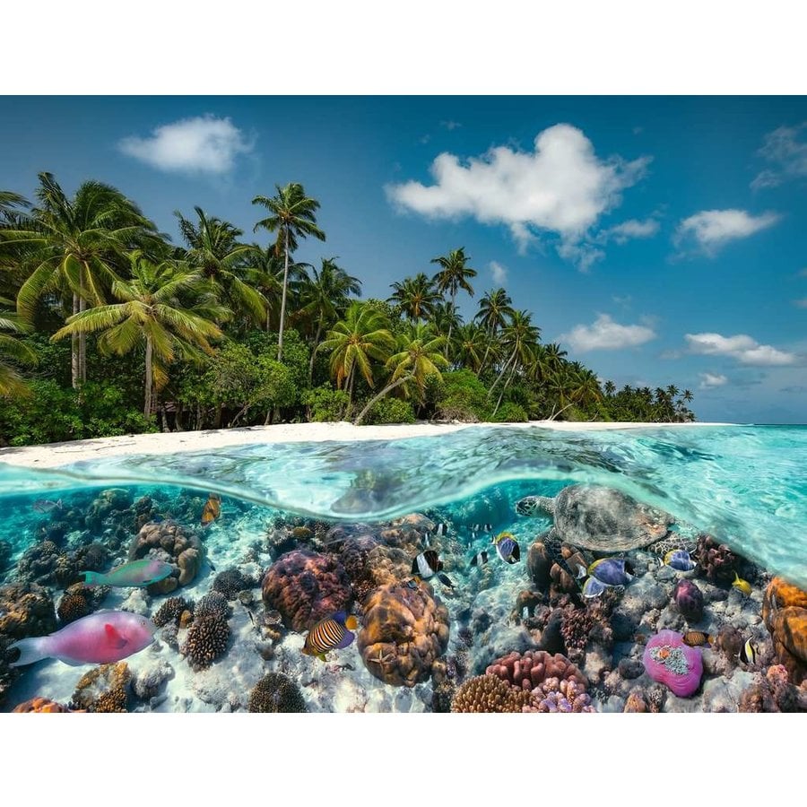 A dive in the Maldives - puzzle of 2000 pieces-2