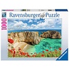 Ravensburger Klaprozen in de Algarve, Portugal - puzzel van 1000 stukjes