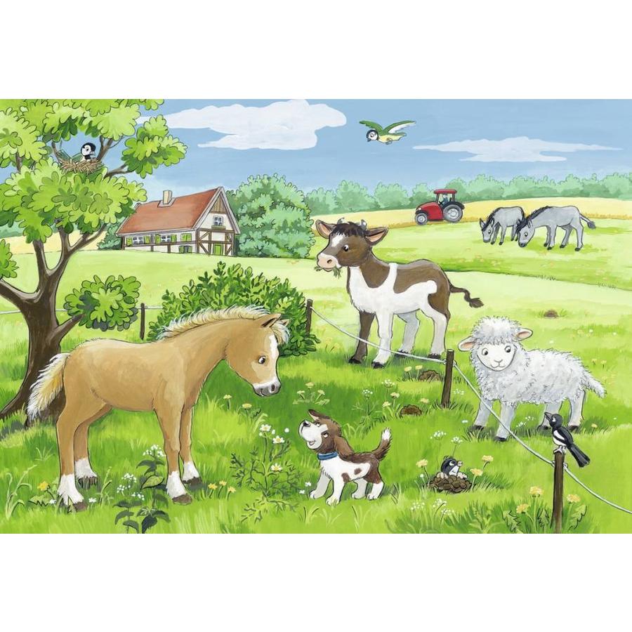 Young animals in the countryside - 2 x 12 pieces-2