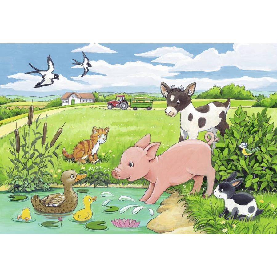 Young animals in the countryside - 2 x 12 pieces-3