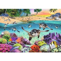 thumb-Baby Sea Turtles - 500 XL pieces-2